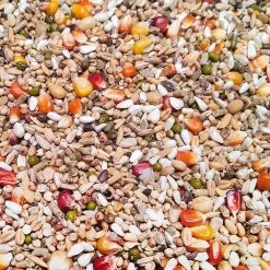 Vanrobaeys Nr.53 Sport Ultra Pro - Revolution 20kg