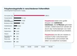 Versele Master Witwer 20kg -Haustierprodukte antioxidantien 11