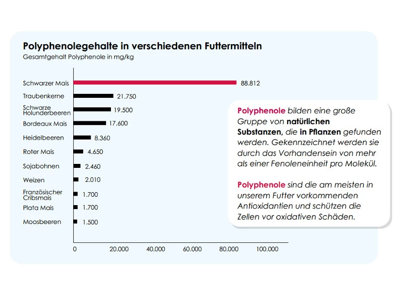Versele Junior Plus I.C.⁺ 20kg 5 Versele Junior Plus I.C.⁺ 20kg - Image 3