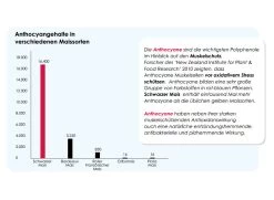 Versele Master R Exclusiv 20kg -Haustierprodukte antioxidantien 22
