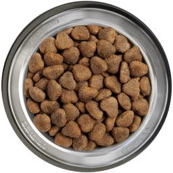 Belcando Junior Lamb & Rice 4kg -Haustierprodukte belcando napf junior lamb and rice 800x800