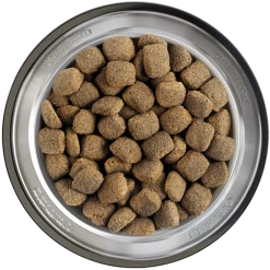 Belcando Junior Maxi 2er-Pack 25kg -Haustierprodukte belcando napf junior maxi 800x8000