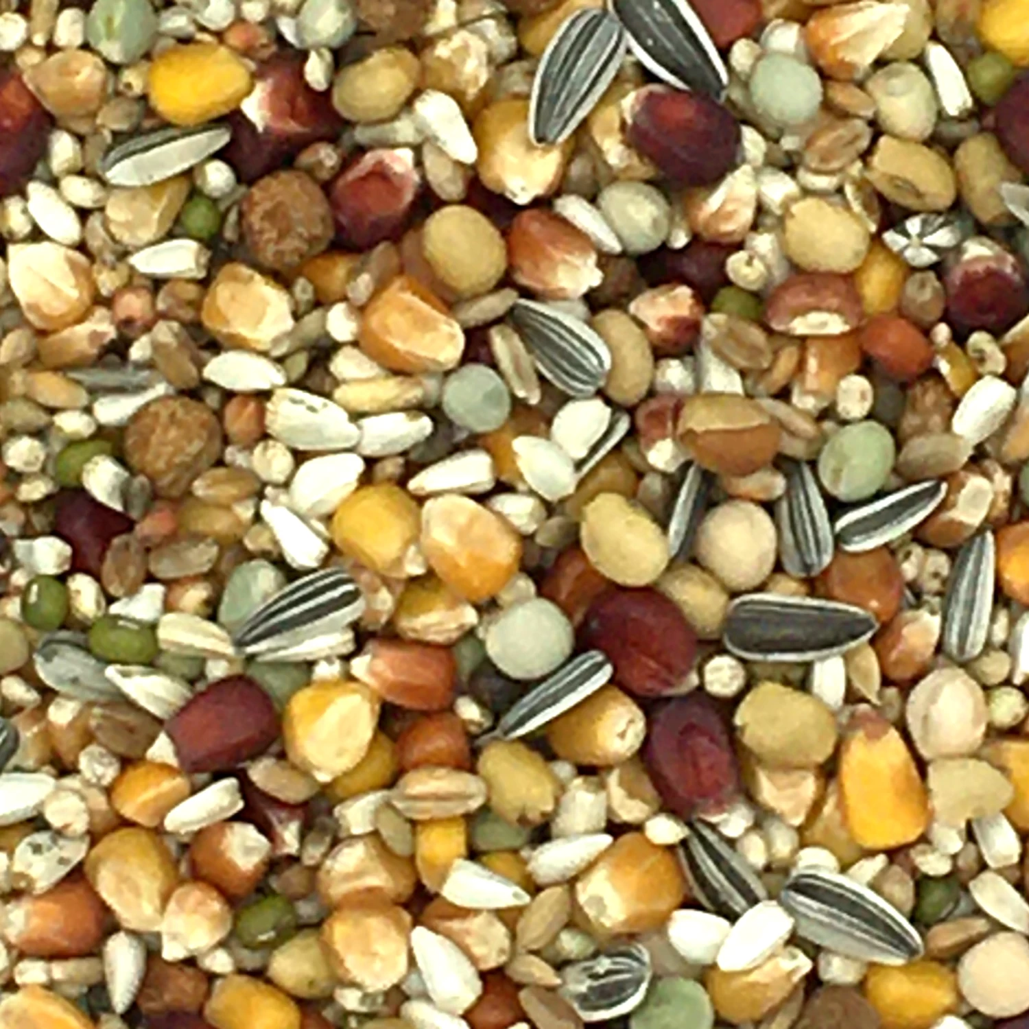 Beyers Galaxy Long Distance TT 20kg 3 Beyers Galaxy Long Distance TT 20kg