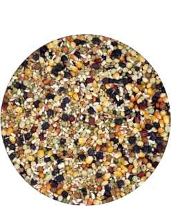 Versele Champion Plus IC+ Black Label, 20kg