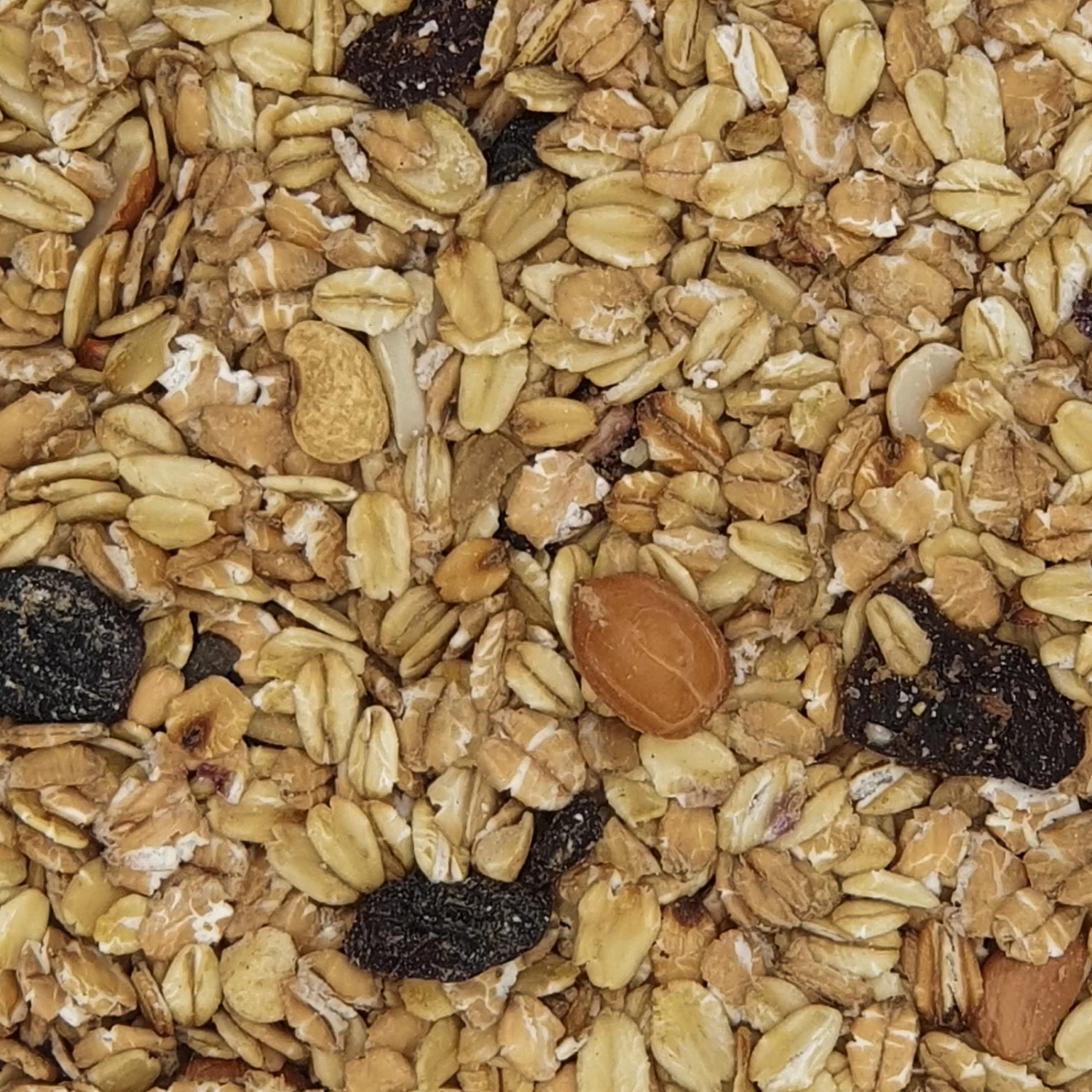 Gevo Fettfutter Premium 25kg 3 Gevo Fettfutter Premium 25kg