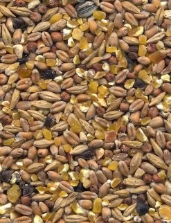 Havens Scharrel-Graan - Körnerfutter 25kg -Haustierprodukte graanmengelingenscharrelgraan