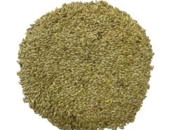 Kanariensaat - Versele 25kg -Haustierprodukte kanariensaatbearbeitet1