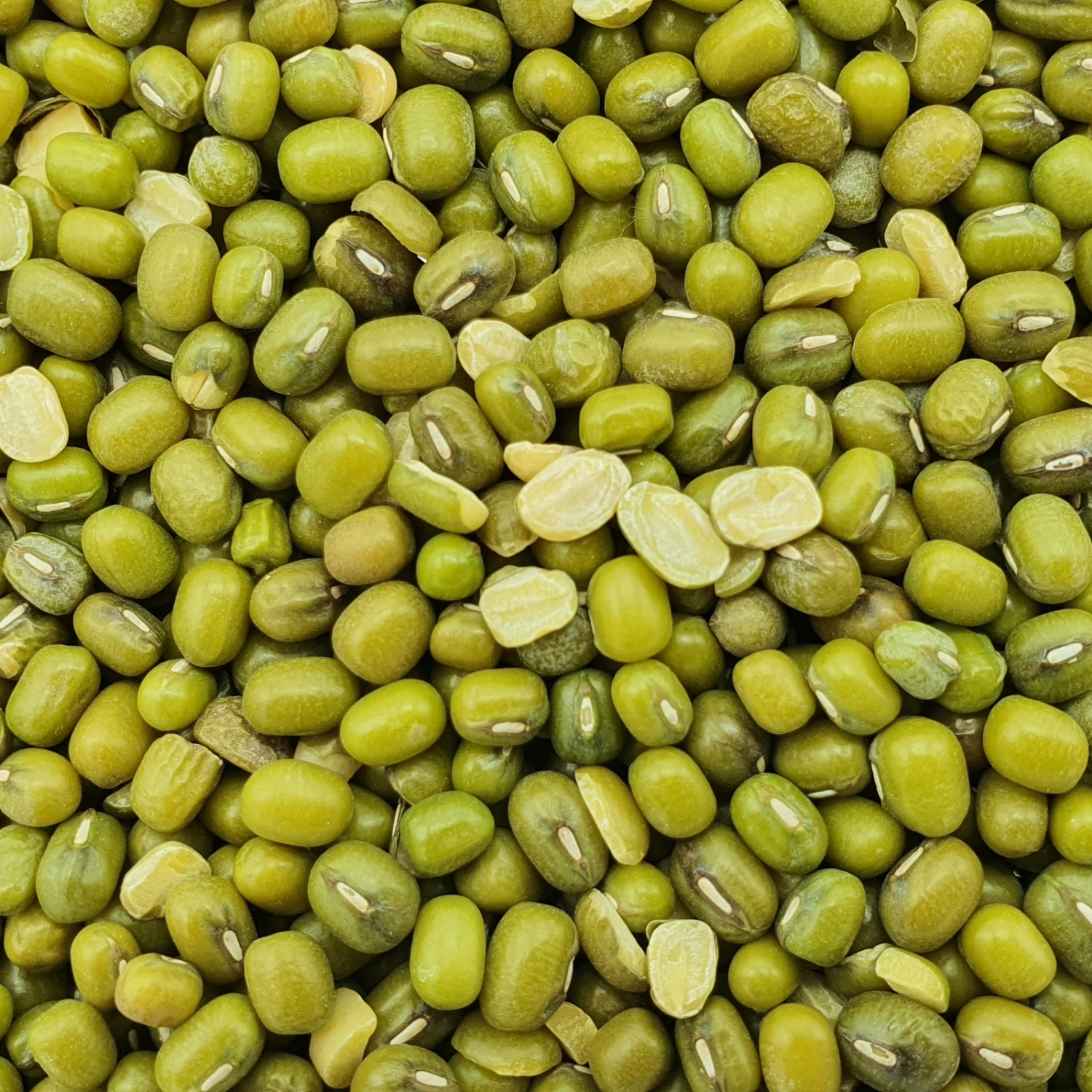 Katjangbohnen - Vanrobaeys 25kg 3 Katjangbohnen - Vanrobaeys 25kg