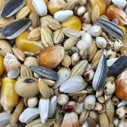 Paloma Nr.16 Weibchen Sieger + Jungtauben 25kg