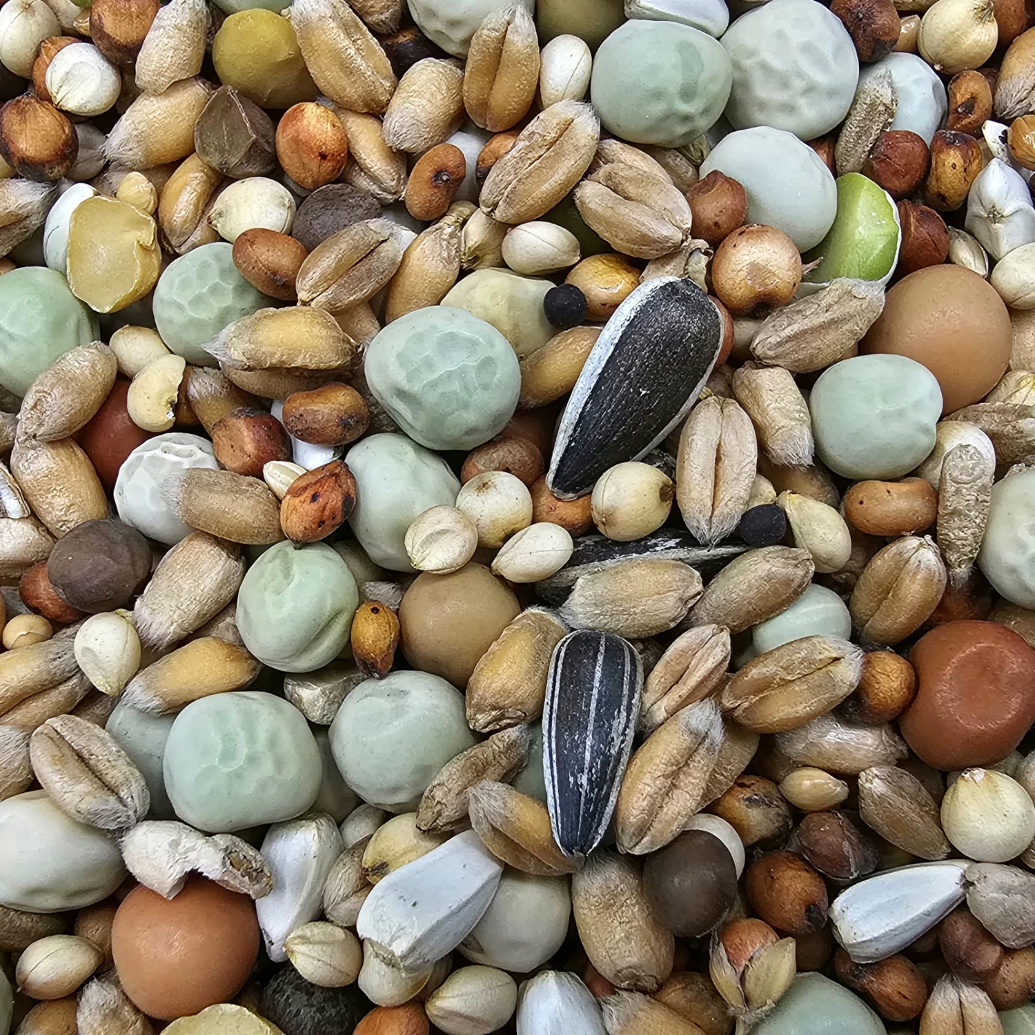 Paloma Nr.48 Super Zucht U. Jungt. Ohne Mais 25kg 3 Paloma Nr.48 Super Zucht U. Jungt. Ohne Mais 25kg