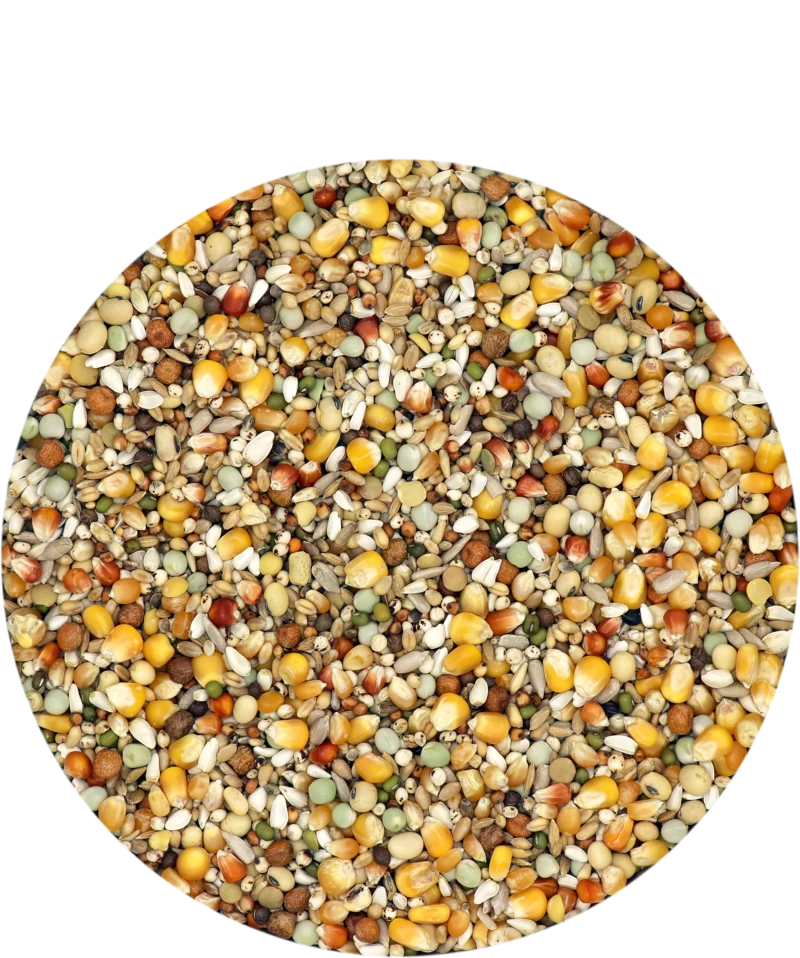 Versele Reise Active Life 25kg 3 Versele Reise Active Life 25kg