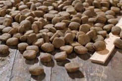 Bewi Dog Sport 25kg 8 Bewi Dog Sport 25kg -Haustierprodukte rs2909 sport kroketten lineal img 1786b klein