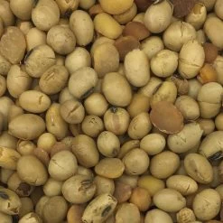 Soja GVO-Frei - Spinne 25kg