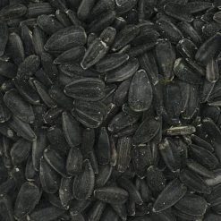 VERSELE-LAGA Sonnenblumenkerne Schwarz - Versele 15kg