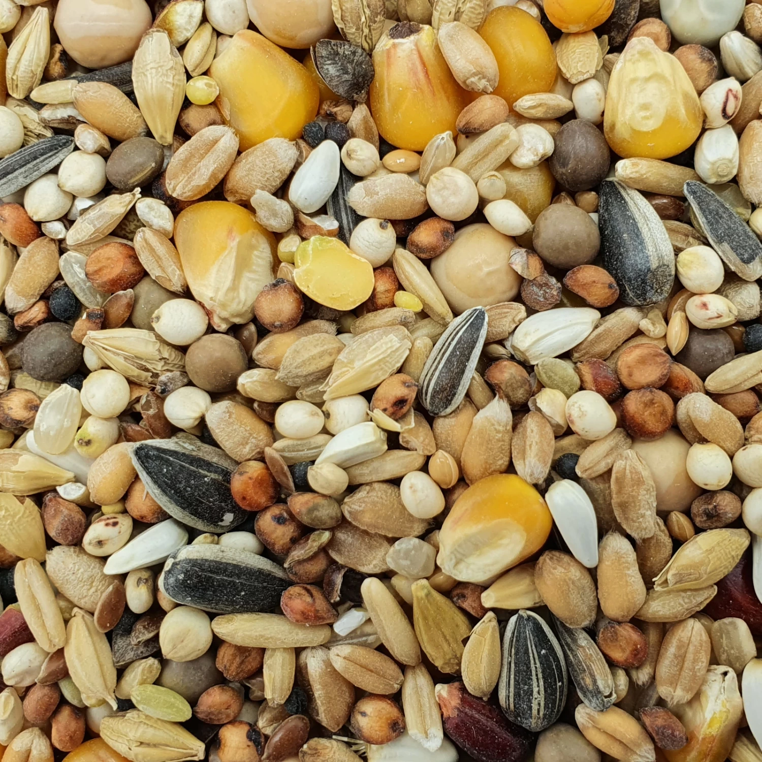 Spinne Mauser Forte 25kg 3 Spinne Mauser Forte 25kg