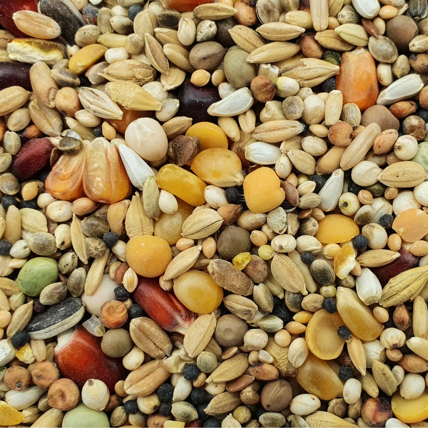 Spinne Stieneker Power 25kg 3 Spinne Stieneker Power 25kg