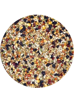 Versele Superstar Plus IC+ Black Label 20kg