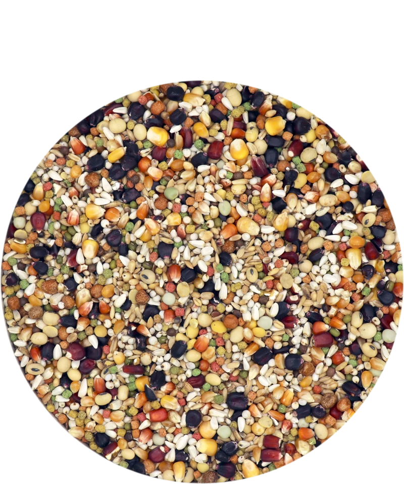 Versele Superstar Plus IC+ Black Label 20kg 3 Versele Superstar Plus IC+ Black Label 20kg