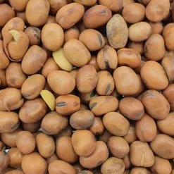 Vanrobaeys Taubenbohnen 25kg