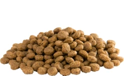 Versele Floating Ibis 15kg -Haustierprodukte versele floating ibis inhalt