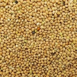 VERSELE-LAGA Hirse Gelb Plata - Versele 25kg