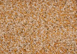 Beyers Premium Vandenabeele 20Kg